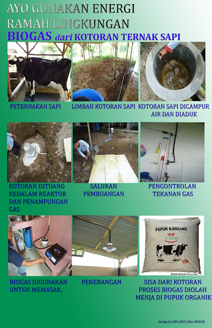 BIOGAS DARI KOTORAN TERNAK SAPI